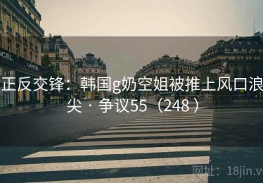 正反交锋：韩国g奶空姐被推上风口浪尖 · 争议55（248 ）