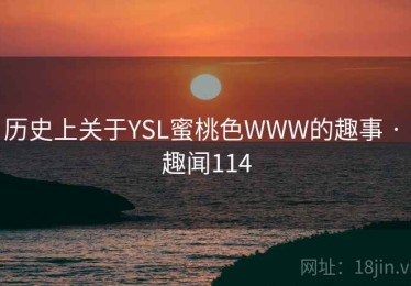 历史上关于YSL蜜桃色WWW的趣事 · 趣闻114