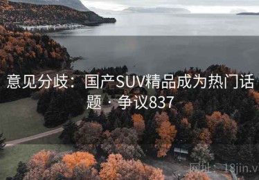 意见分歧：国产SUV精品成为热门话题 · 争议837