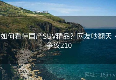 如何看待国产SUV精品？网友吵翻天 · 争议210