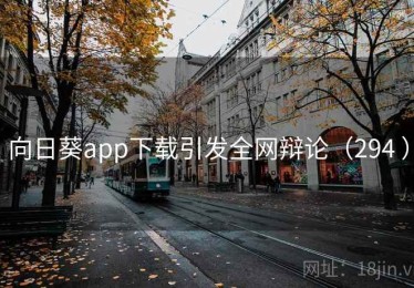 向日葵app下载引发全网辩论（294 ）