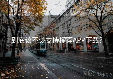 到底该不该支持榴莲APP下载？
