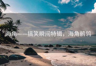 海角——搞笑瞬间特辑，海角鹡鸰