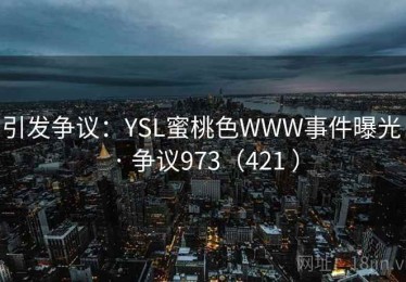 引发争议：YSL蜜桃色WWW事件曝光 · 争议973（421 ）