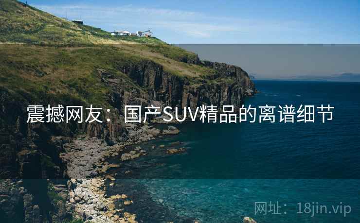 震撼网友:国产SUV精品的离谱细节 震撼网友:国产SUV精品的离谱细节